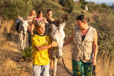 Visita al centro de rescate Donkey Dreamland con Brunch Andaluz